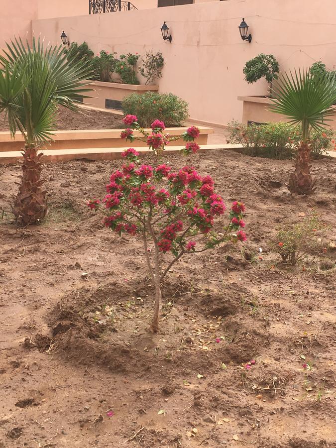 Appartement Elias Marrakech Marrakesh Exterior photo